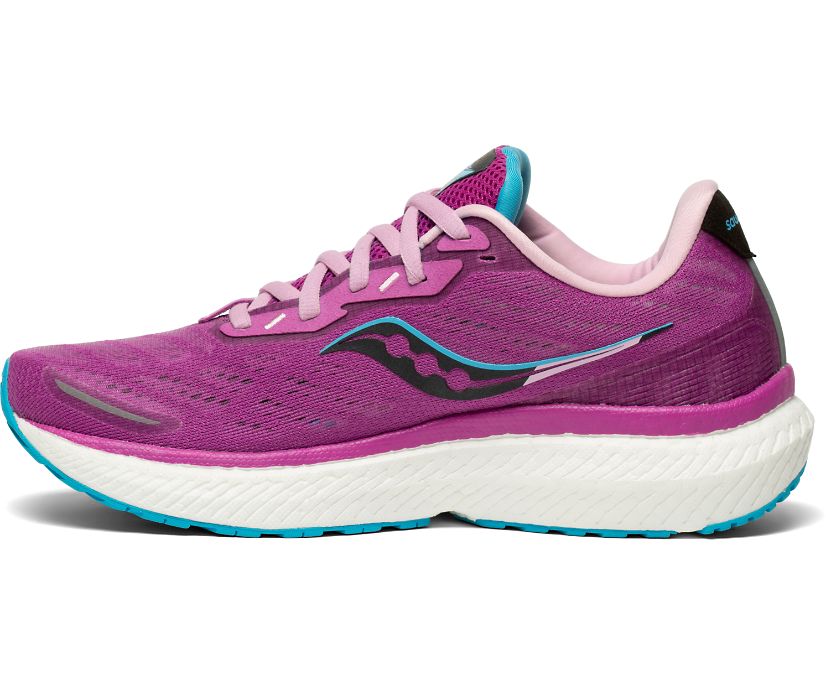 Saucony Triumph 19 Women's Running Shoes Purple | AU 205VRWD